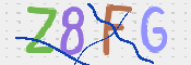 CAPTCHA 驗證圖片