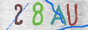 CAPTCHA 驗證圖片
