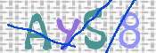 CAPTCHA 驗證圖片