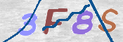 CAPTCHA 驗證圖片