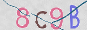 CAPTCHA 驗證圖片