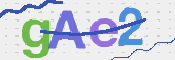 CAPTCHA 驗證圖片