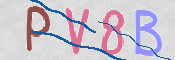 CAPTCHA 驗證圖片