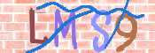 CAPTCHA 驗證圖片