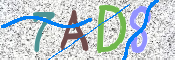 CAPTCHA 驗證圖片