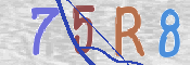 CAPTCHA 驗證圖片