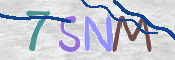 CAPTCHA 驗證圖片