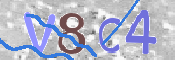 CAPTCHA 驗證圖片