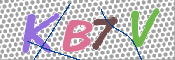 CAPTCHA 驗證圖片