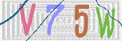 CAPTCHA 驗證圖片
