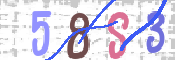 CAPTCHA 驗證圖片