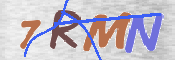 CAPTCHA 驗證圖片