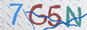 CAPTCHA 驗證圖片