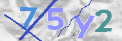 CAPTCHA 驗證圖片