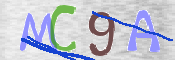 CAPTCHA 驗證圖片