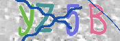 CAPTCHA 驗證圖片