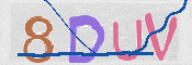 CAPTCHA 驗證圖片
