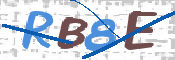 CAPTCHA 驗證圖片