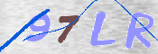 CAPTCHA 驗證圖片