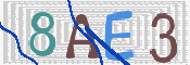 CAPTCHA 驗證圖片