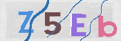 CAPTCHA 驗證圖片