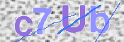 CAPTCHA 驗證圖片