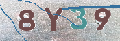 CAPTCHA 驗證圖片