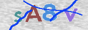 CAPTCHA 驗證圖片