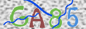 CAPTCHA 驗證圖片
