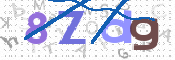 CAPTCHA 驗證圖片