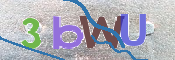 CAPTCHA 驗證圖片