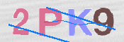CAPTCHA 驗證圖片