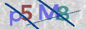 CAPTCHA 驗證圖片