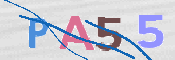 CAPTCHA 驗證圖片