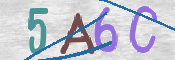 CAPTCHA 驗證圖片