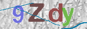 CAPTCHA 驗證圖片