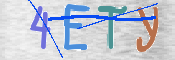CAPTCHA 驗證圖片