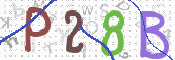 CAPTCHA 驗證圖片