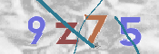 CAPTCHA 驗證圖片