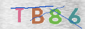 CAPTCHA 驗證圖片
