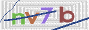 CAPTCHA 驗證圖片