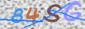 CAPTCHA 驗證圖片