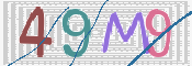 CAPTCHA 驗證圖片
