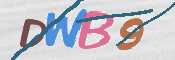 CAPTCHA 驗證圖片
