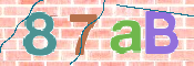 CAPTCHA 驗證圖片