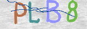 CAPTCHA 驗證圖片