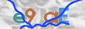 CAPTCHA 驗證圖片