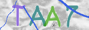 CAPTCHA 驗證圖片