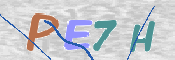 CAPTCHA 驗證圖片