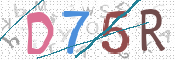 CAPTCHA 驗證圖片
